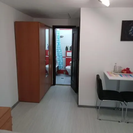 Apartamento Apartament Cu Un Dormitor Spatios In Centrul