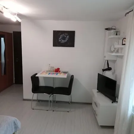 Apartamento Apartament Cu Un Dormitor Spatios In Centrul *